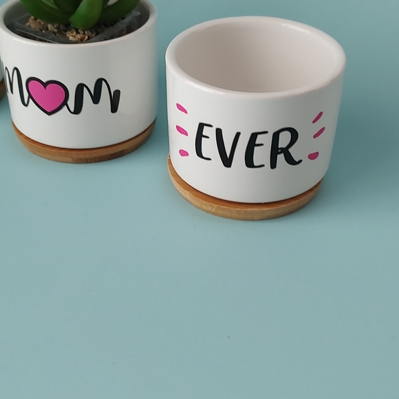 Ceramic Succulent Plant Pots Gift Mom 3.15 Inch Cactus Planter Flower new 3 pz - Picture 3 of 9